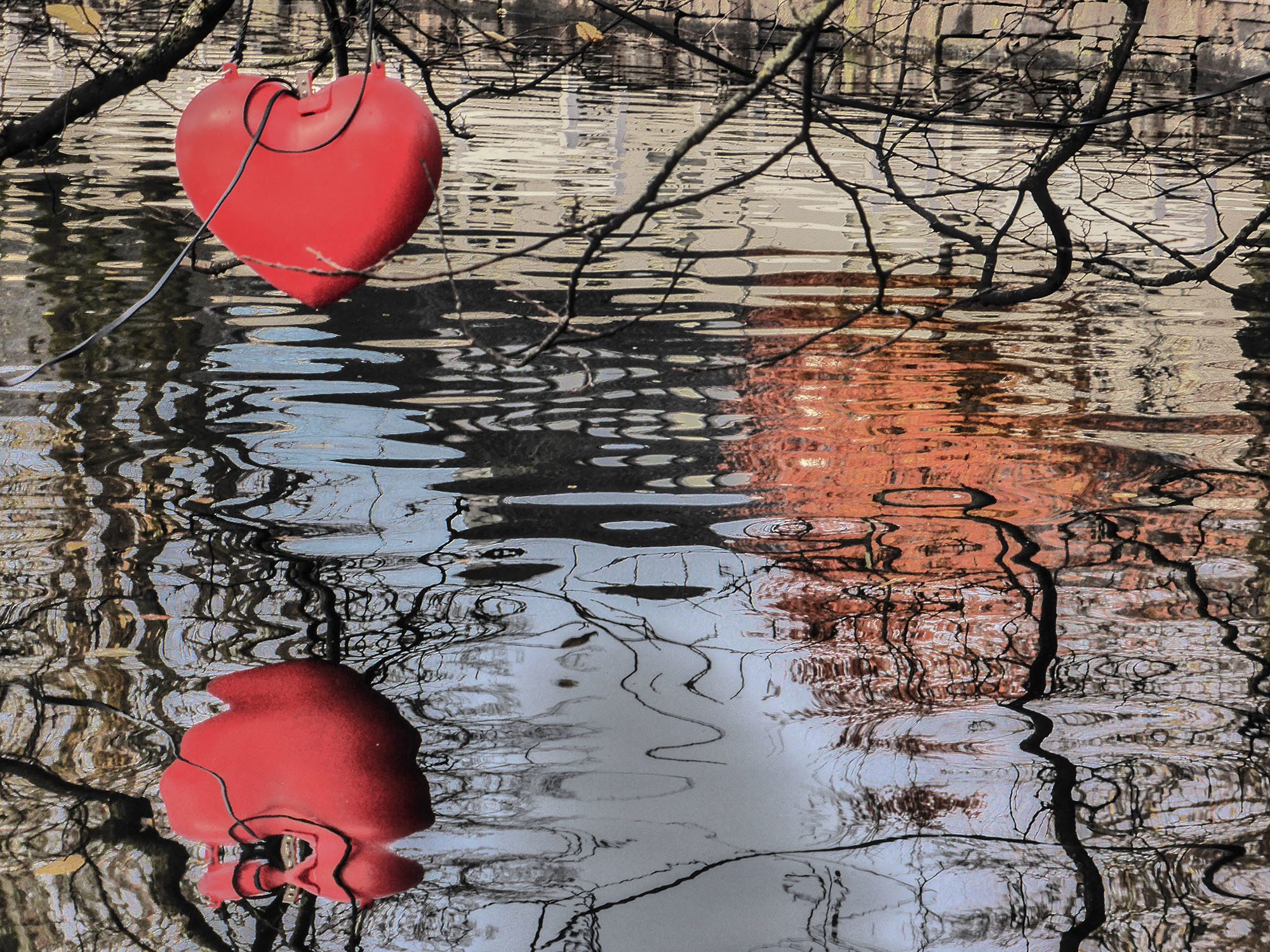 Red love heart lights hanging over a pond in Stavanger Norway