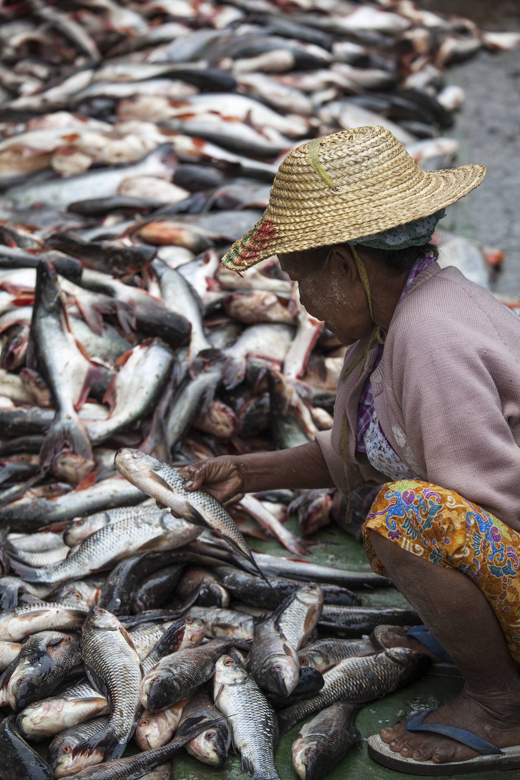 Woman sorting fish on the ground at the Fish Market in Mandalay Myanmar