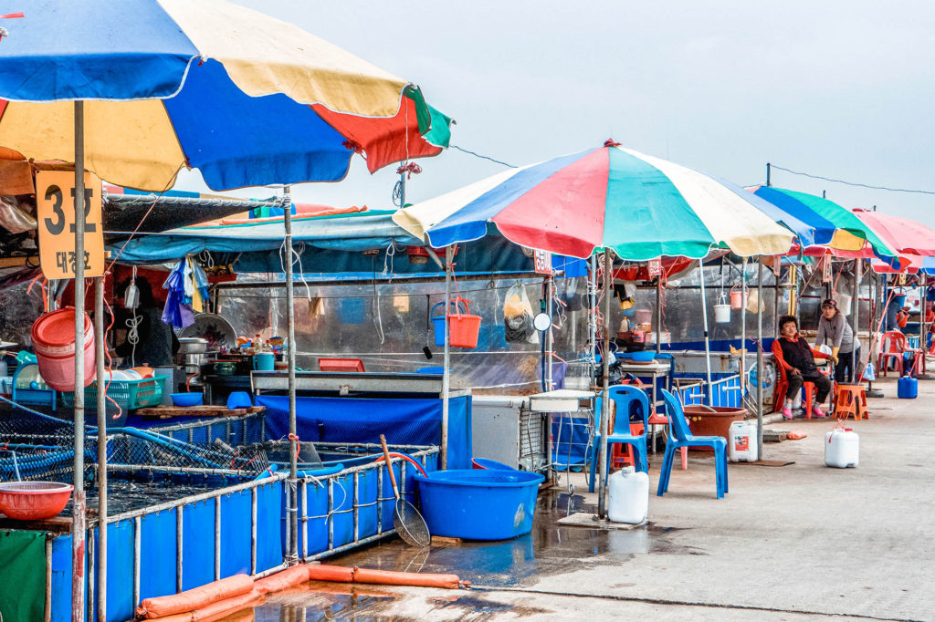 Fresh food markets in Sokcho, South Korea