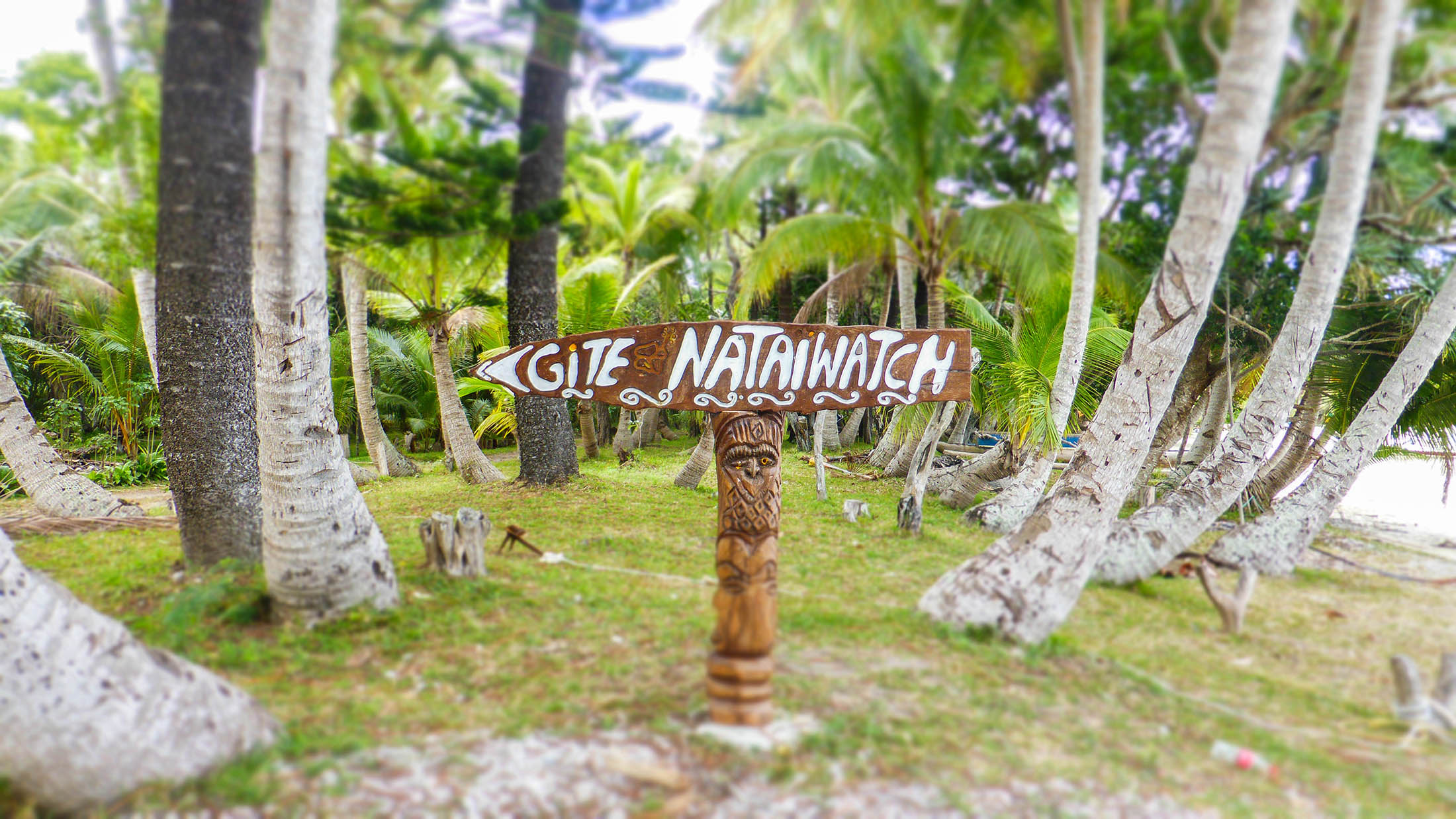 Nataiwatch camping on Isle of Pines, New Caledonia