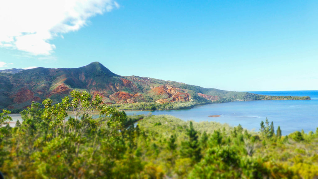 View inside Blue River Provincial Park, New Caledonia
