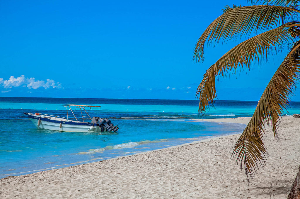 Beach on Isla Saona, Dominican Republic