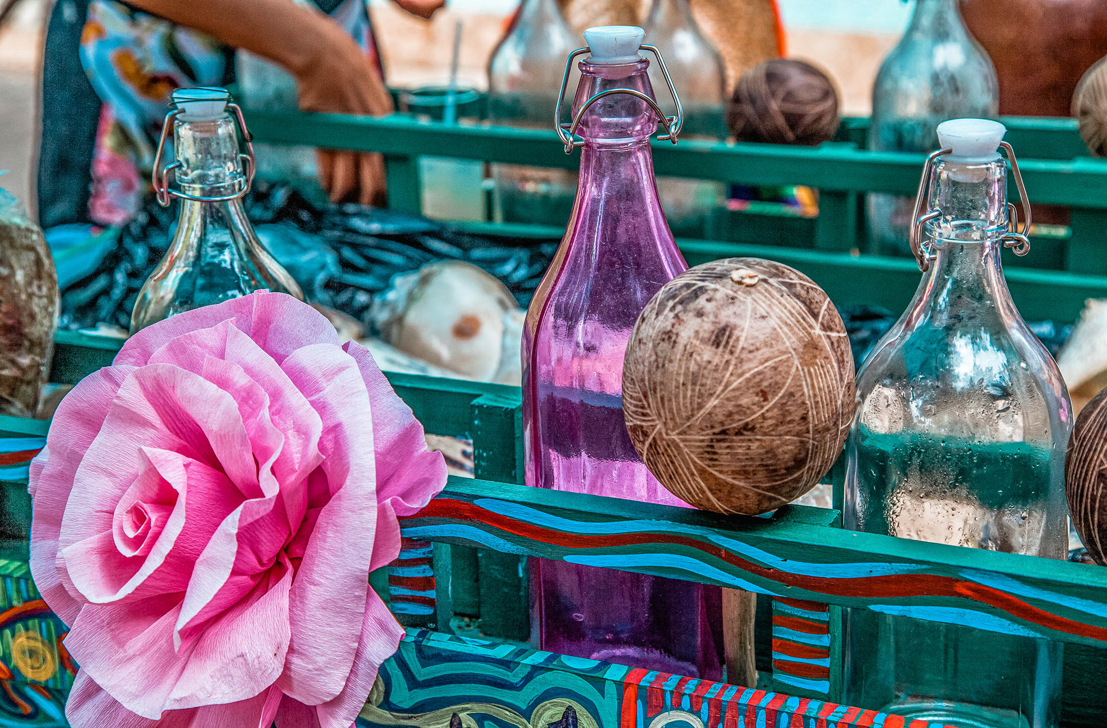 Flowers and coconuts in Parque Colon, Santo Domingo, Dominican Republic