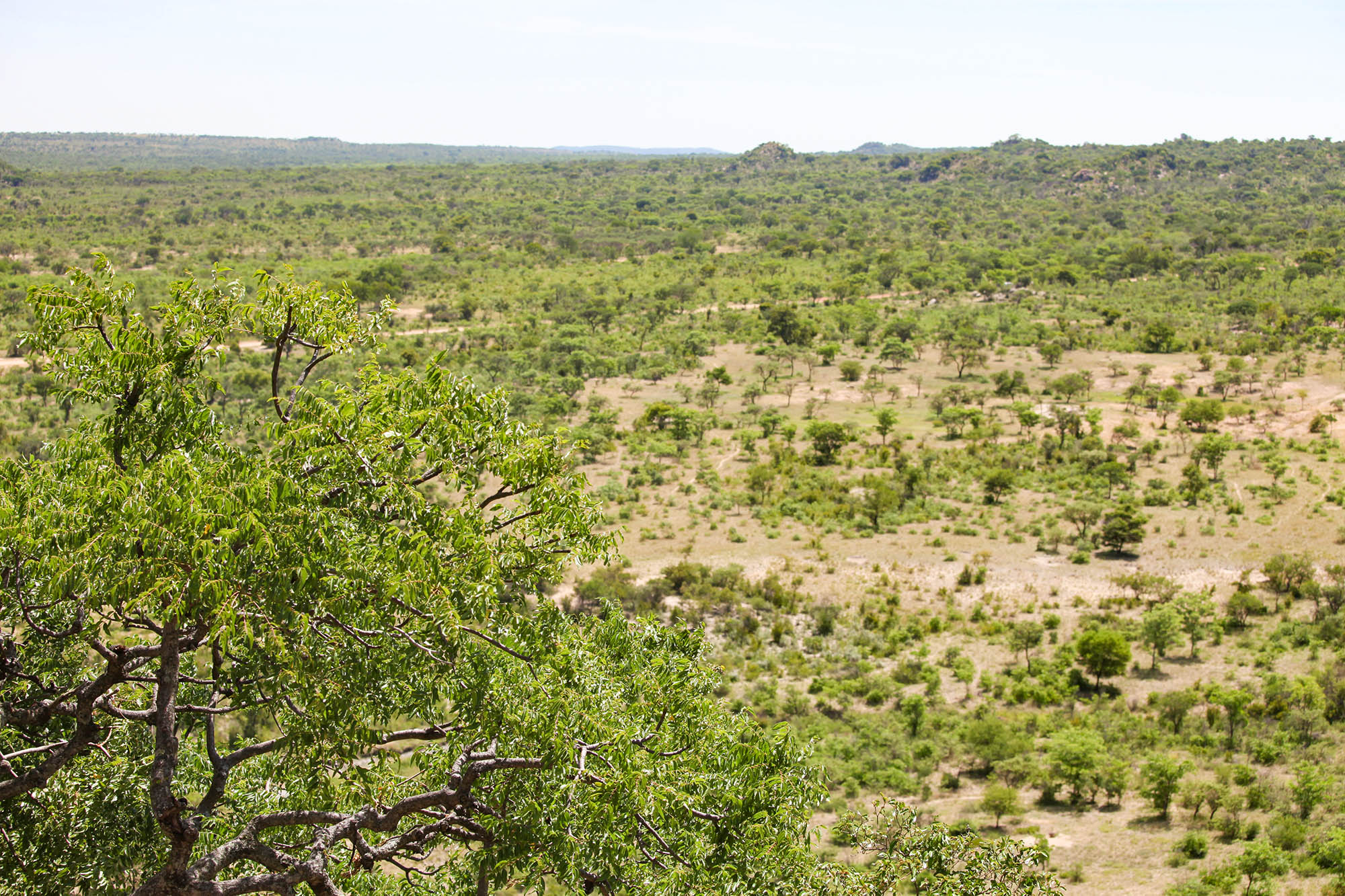 Matobo National Park from on high, Zimbabwe