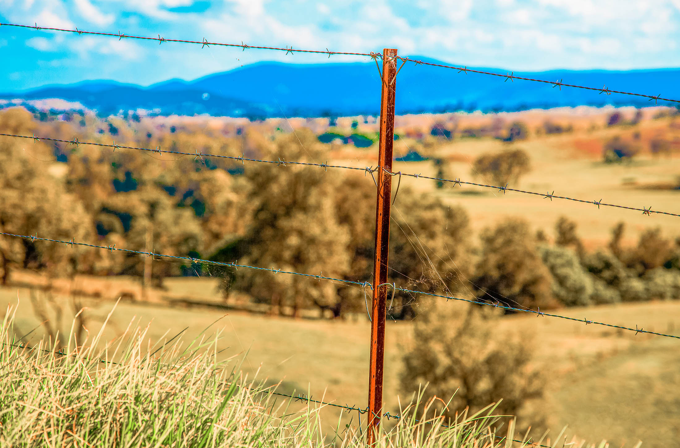 Mount Kilcoy, Kilcoy