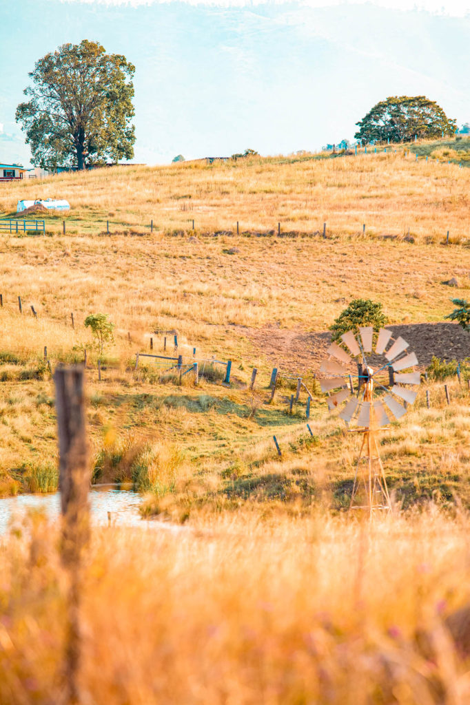 Windmill on property near Somerset Dam, Kilcoy