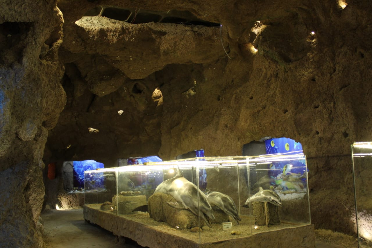 Lebanese Marine and Wildlife Museum - museums in Lebanon 2