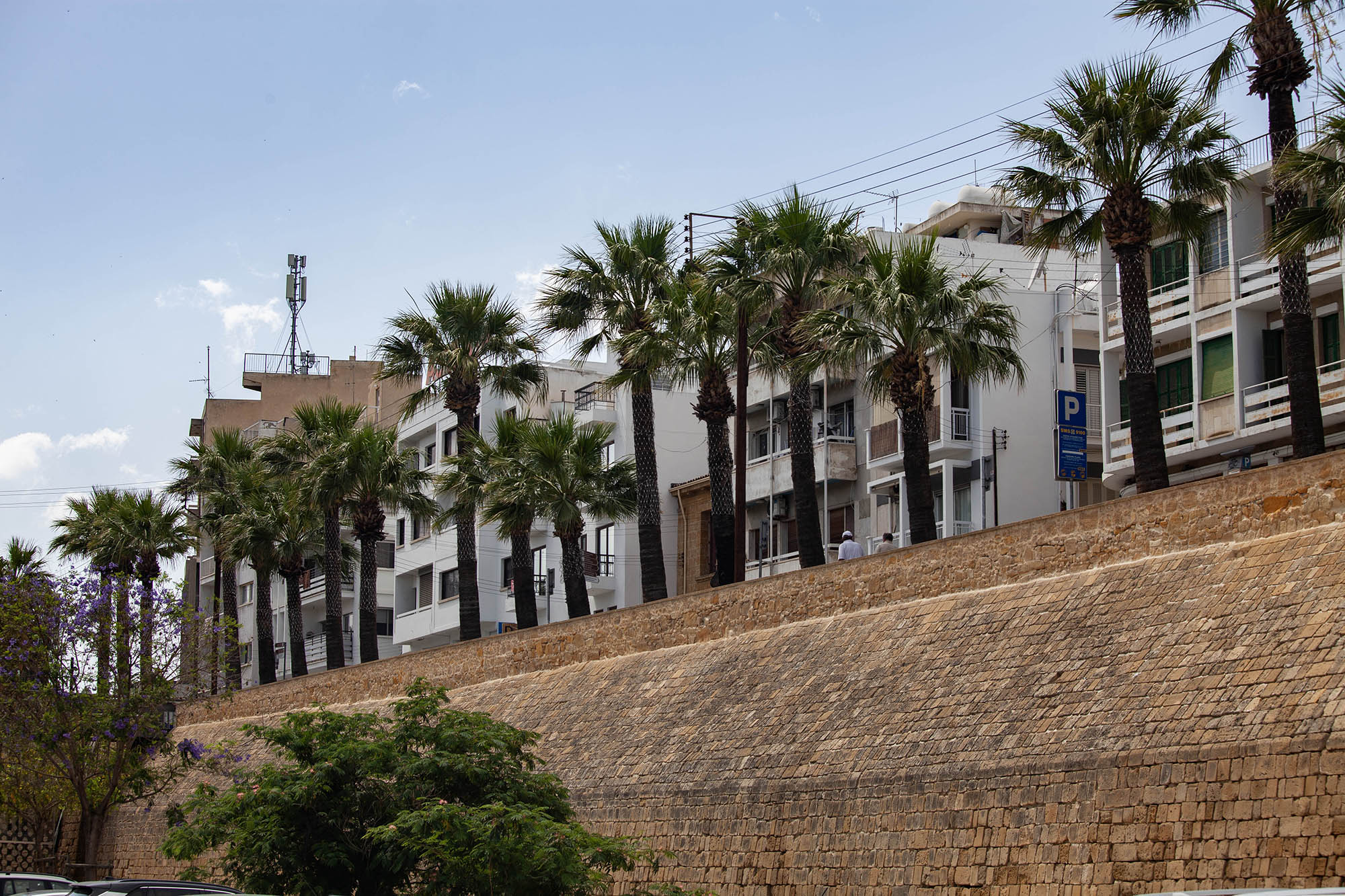 Woman in Nicosia