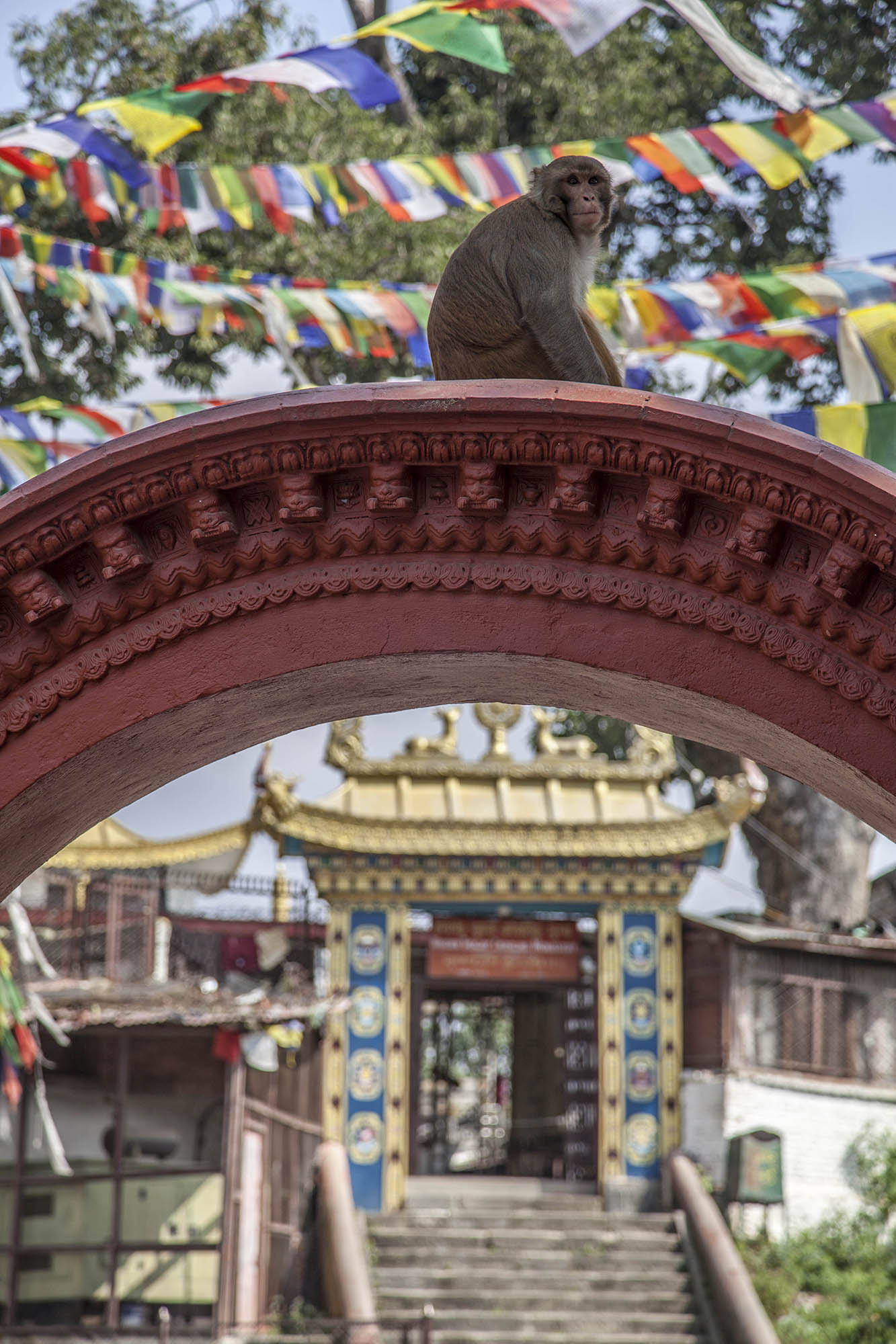 Nepal itinerary