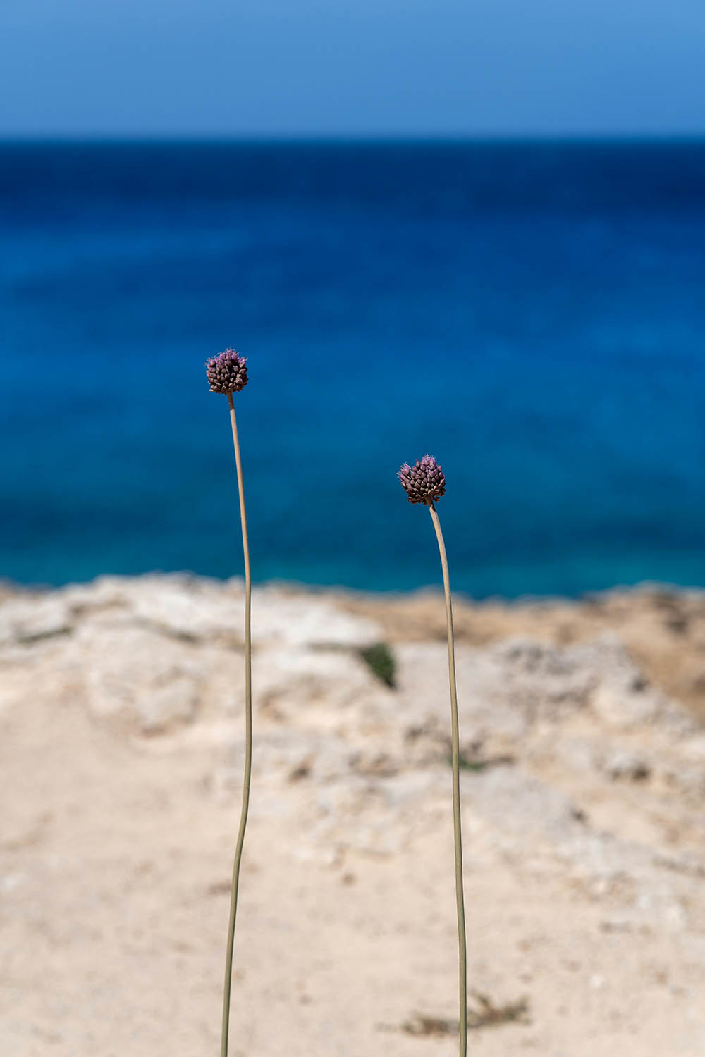 Cyprus in winter