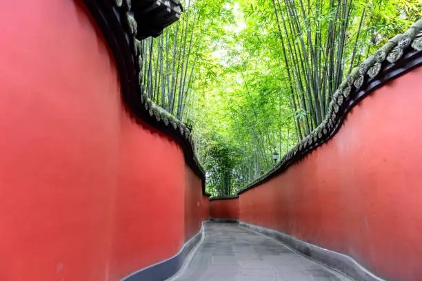 things to do in Chengdu