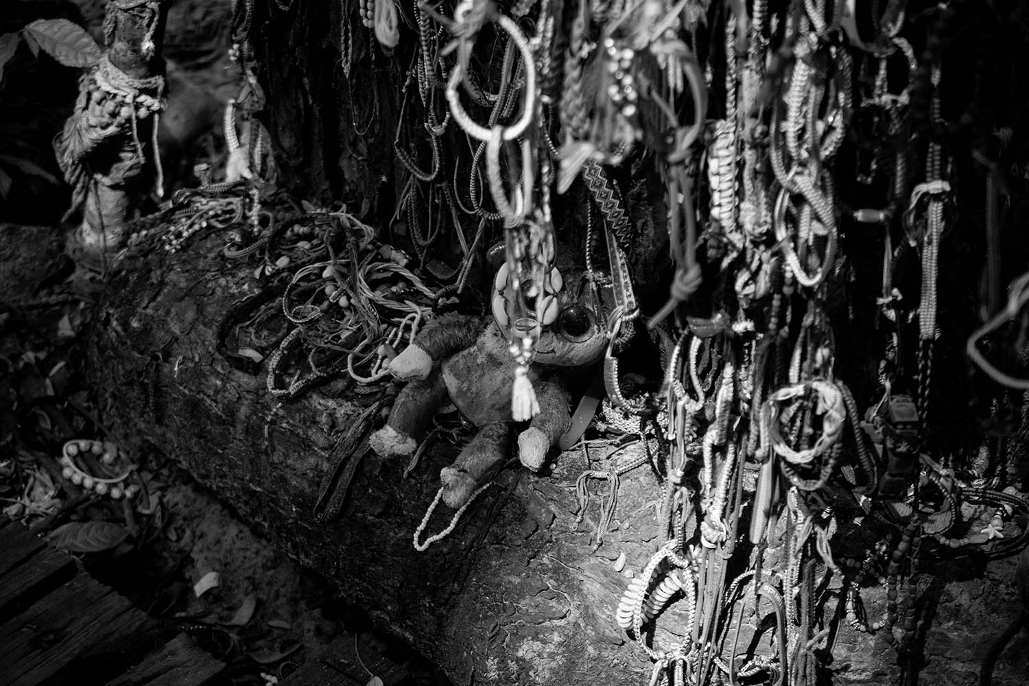 Killing Fields Phnom Penh