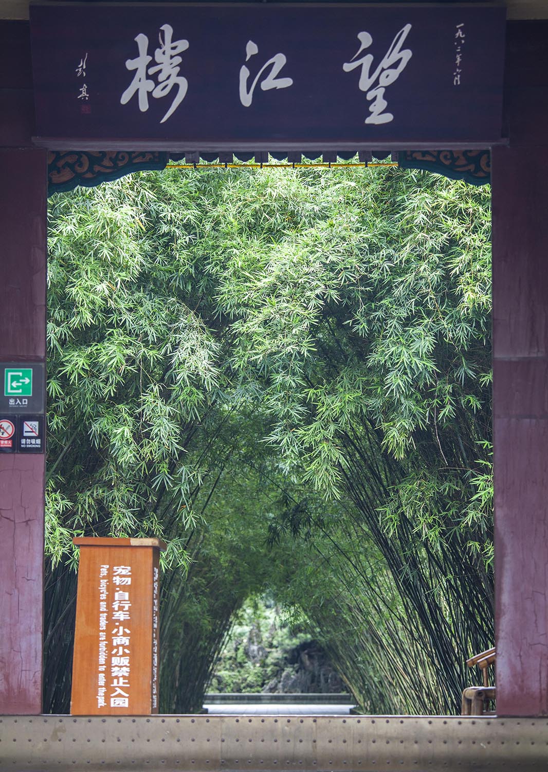 things to do in Chengdu