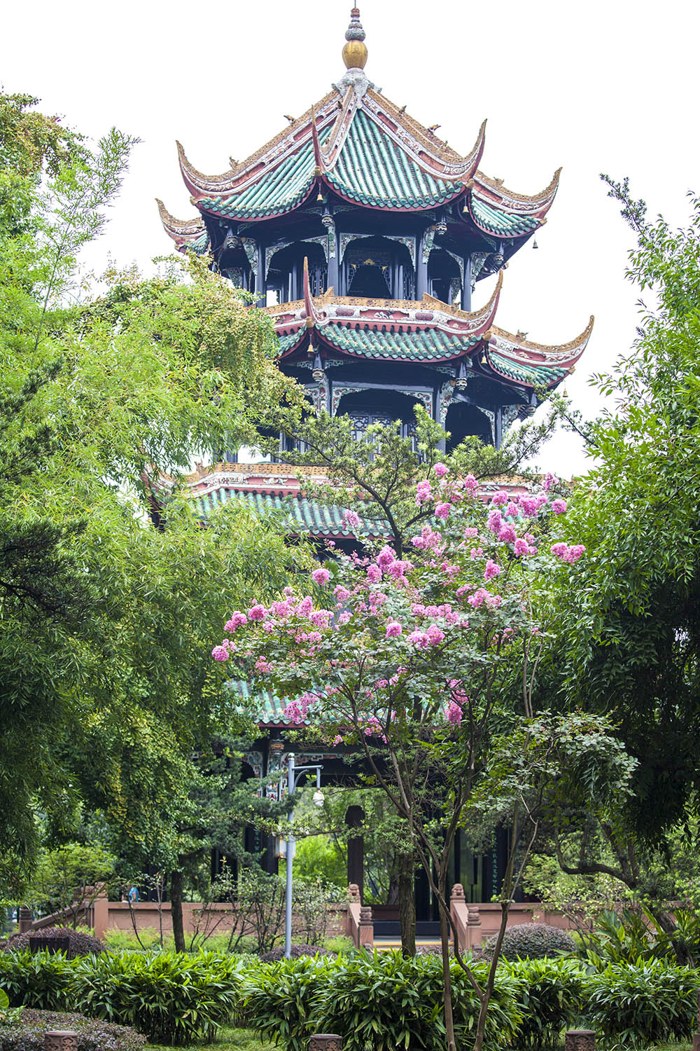 things to do in Chengdu