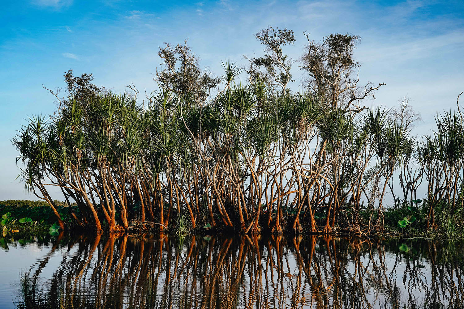 things to do in Darwin