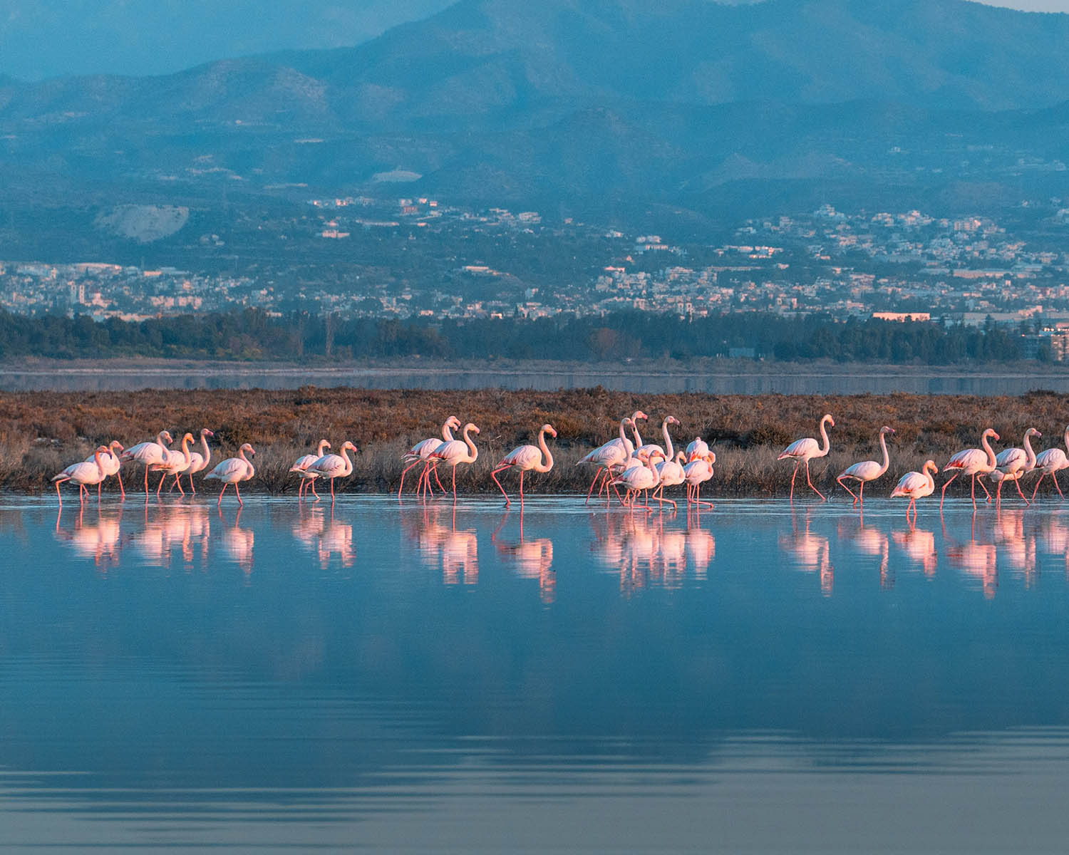 Cyprus in winter