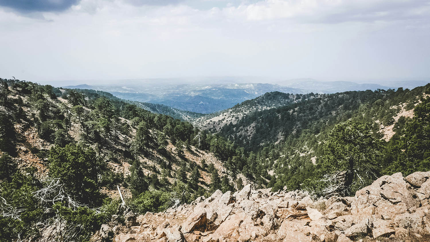 Cyprus in winter